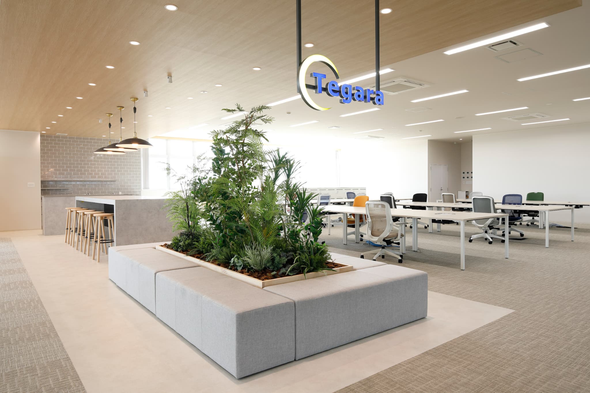 テガラ株式会社の写真1